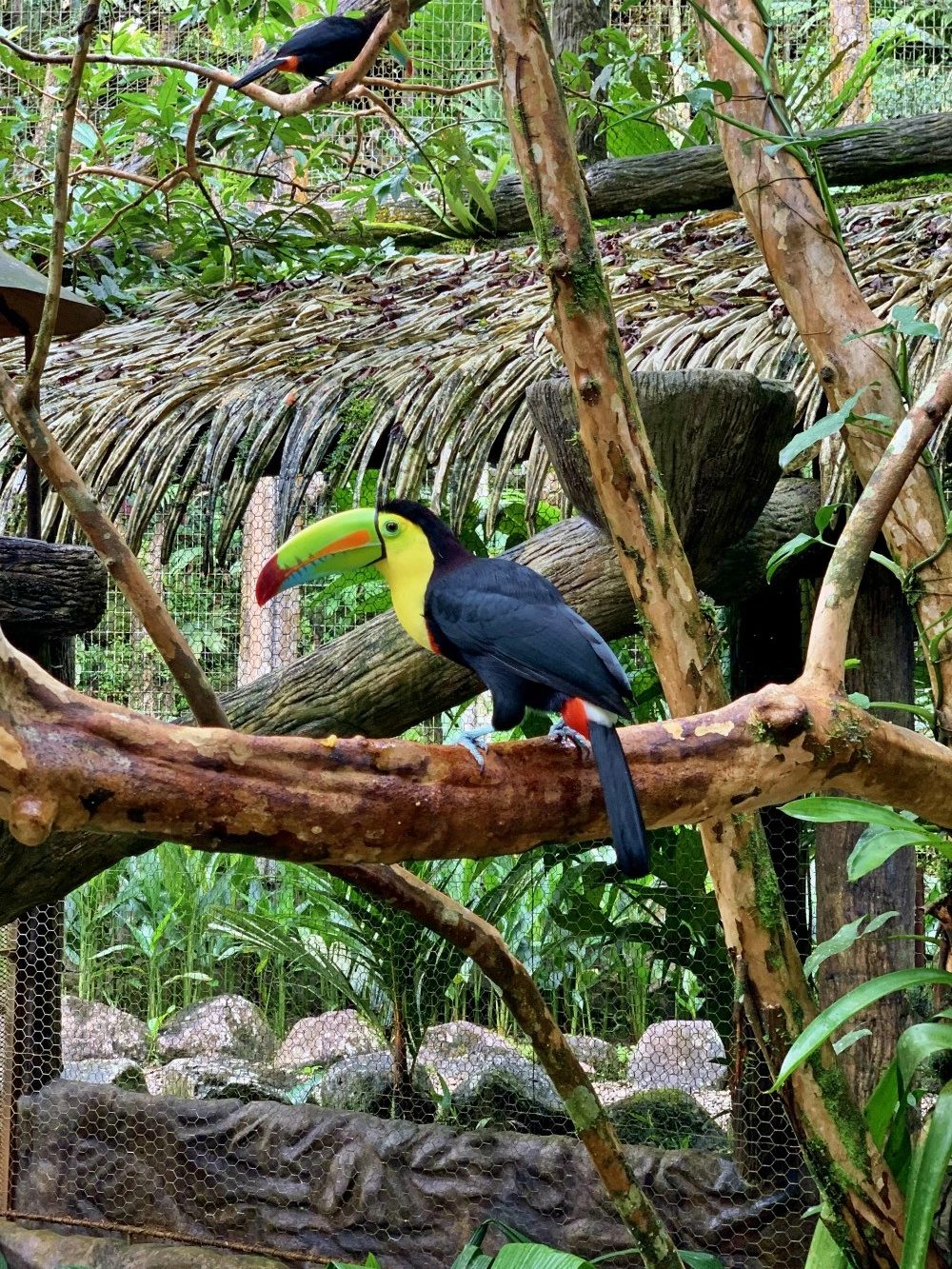 springs resort la fortuna